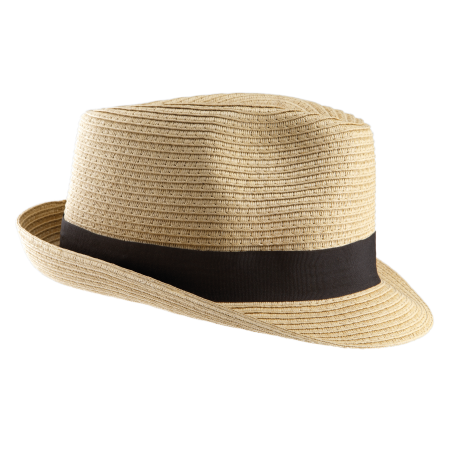 Chapeau panama homme kp068